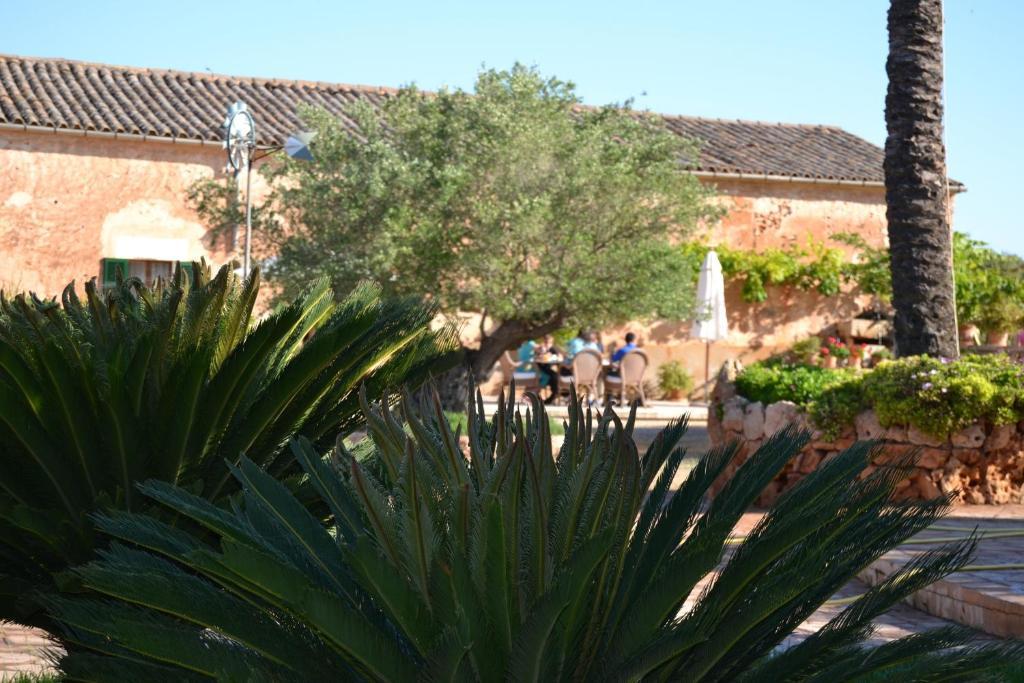 Agroturismo Finca Son Sala Campos  Buitenkant foto