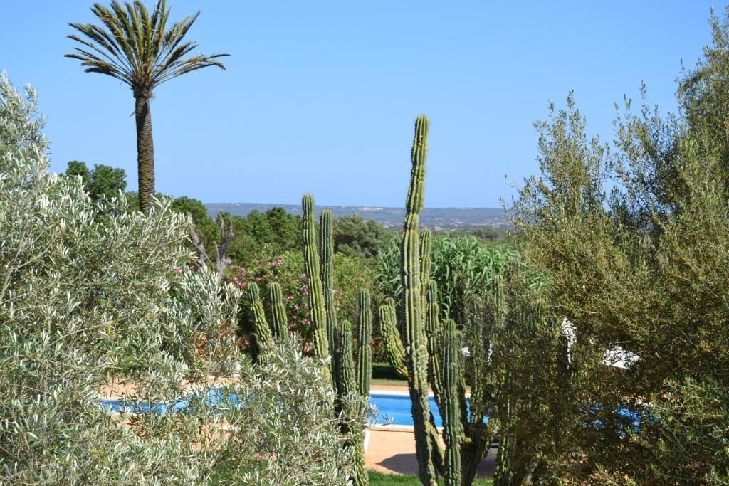 Agroturismo Finca Son Sala Campos  Buitenkant foto
