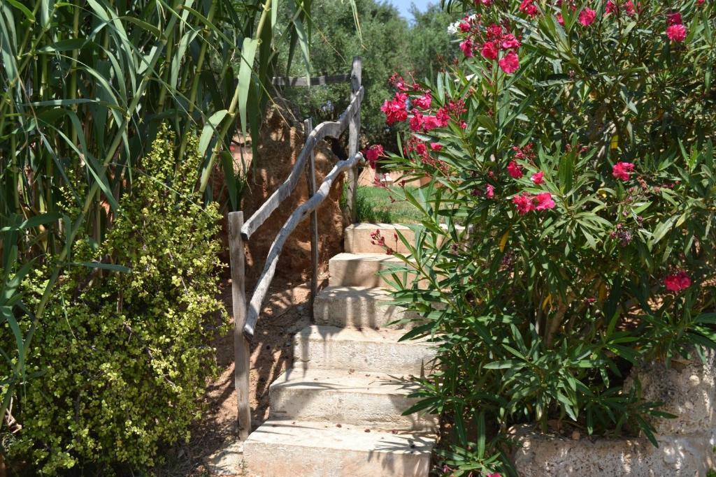 Agroturismo Finca Son Sala Campos  Buitenkant foto